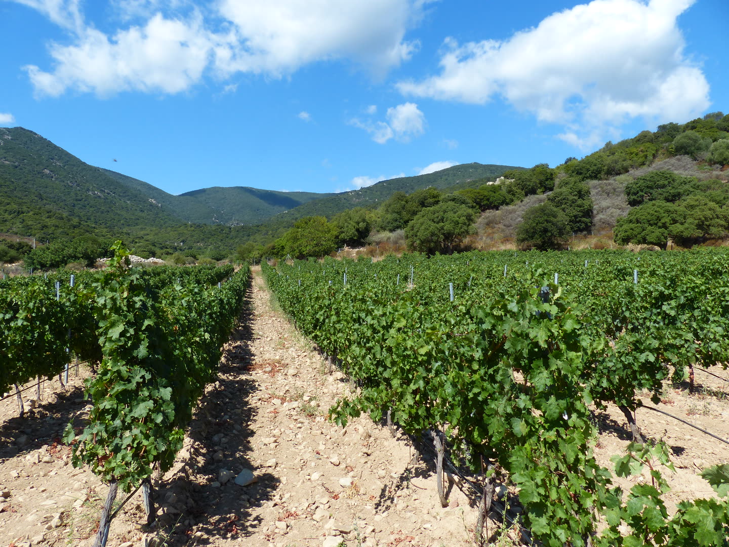 L'Azienda Kastià — il territorio